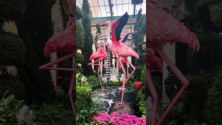 Inside the Bellagio Conservatory: The Secret Garden of Vegas
